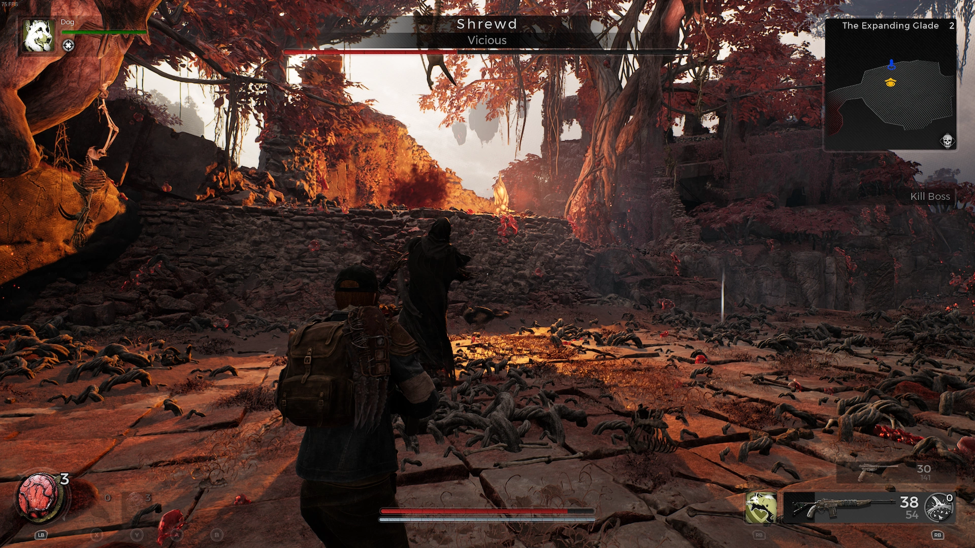 Remnant II Remnant II